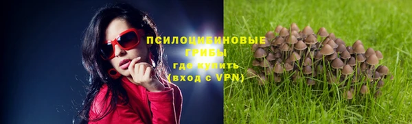 тгк Кулебаки
