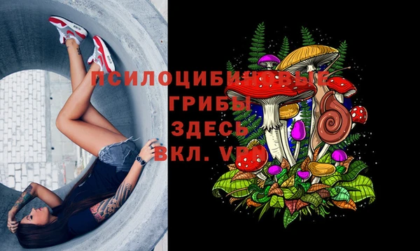 не бодяженный Куйбышев