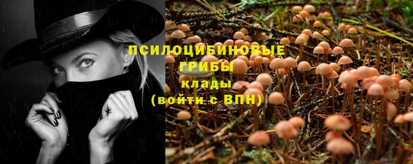 соль курить ск Кукмор