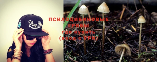 Альфа ПВП Ладушкин