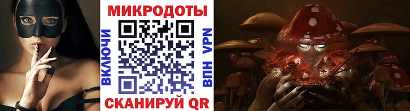 Купить  Красный Сулин  Галлюциногенные грибы мухоморы 